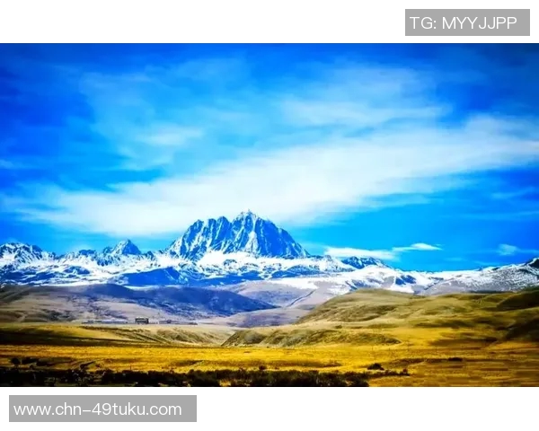 木浦市与大邱的魅力对决探索两座城市的独特风情与文化差异 木浦市与大邱的魅力对决探索两座城市的独特风情与文化差异